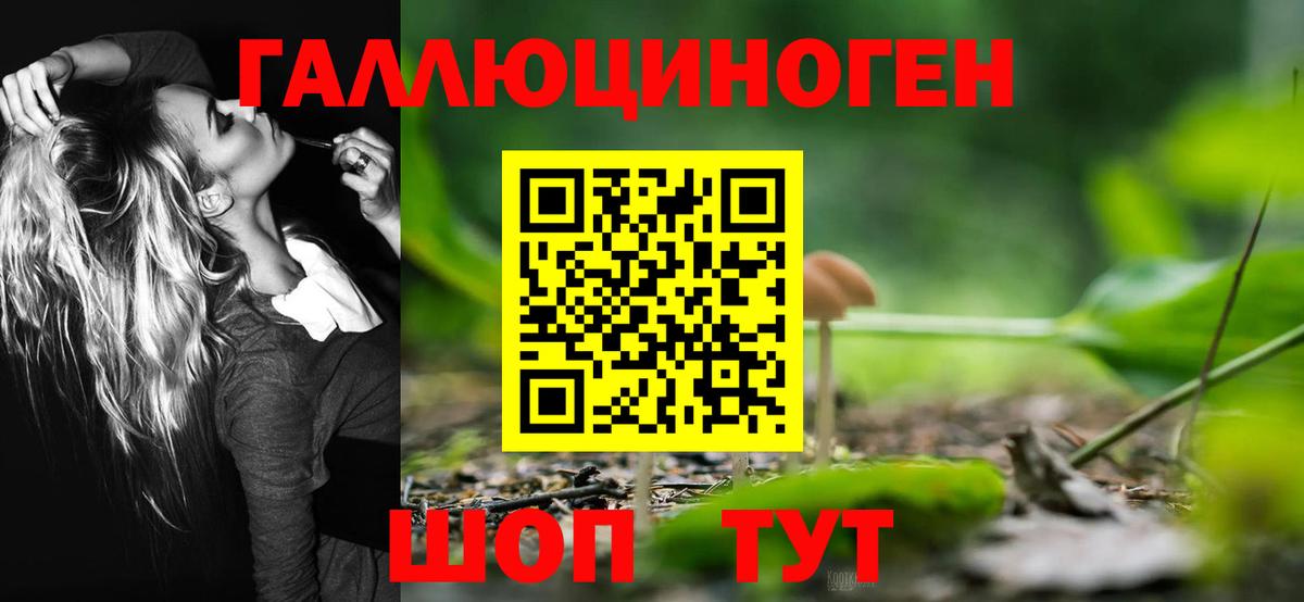 Мирный  Псилоцибиновые грибы Magic Shrooms  Галлюциногенные грибы Psilocybine cubensis  Вход с VPN 
